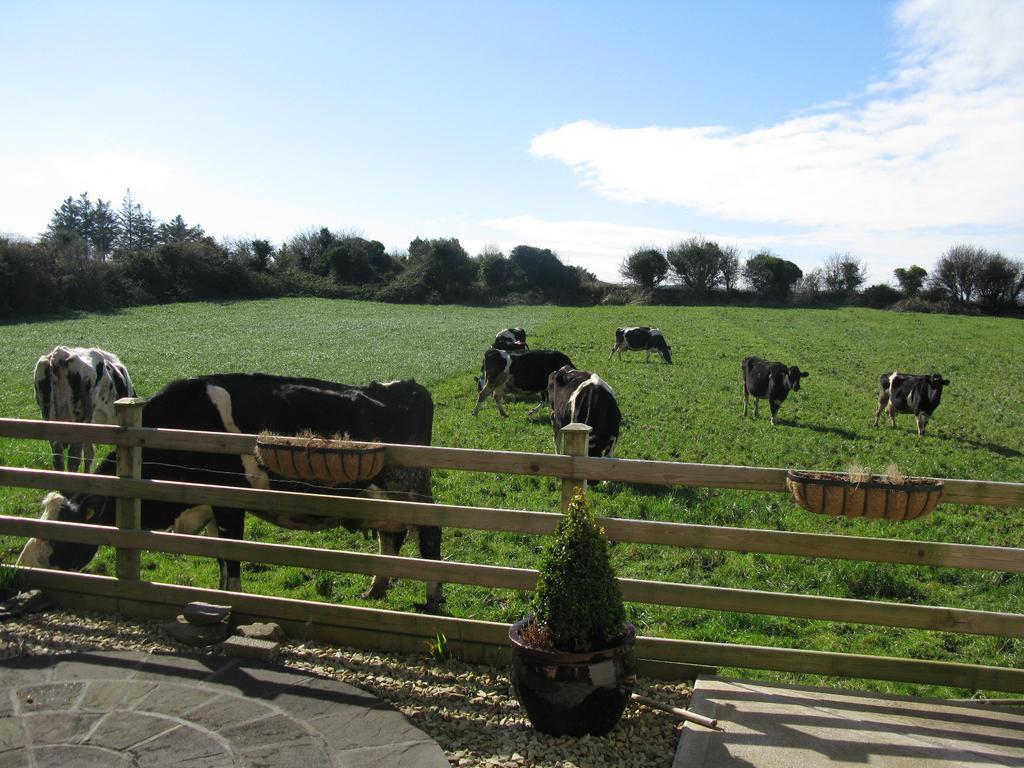 Farmstead Lodge B&B Beaufort Luaran gambar